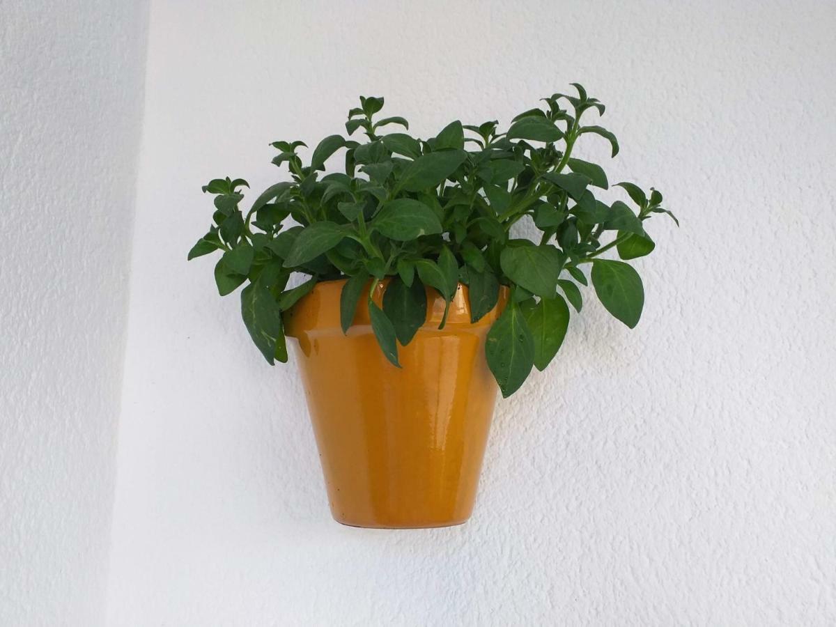 Pontecesures Pons Caesaris 빌라 외부 사진