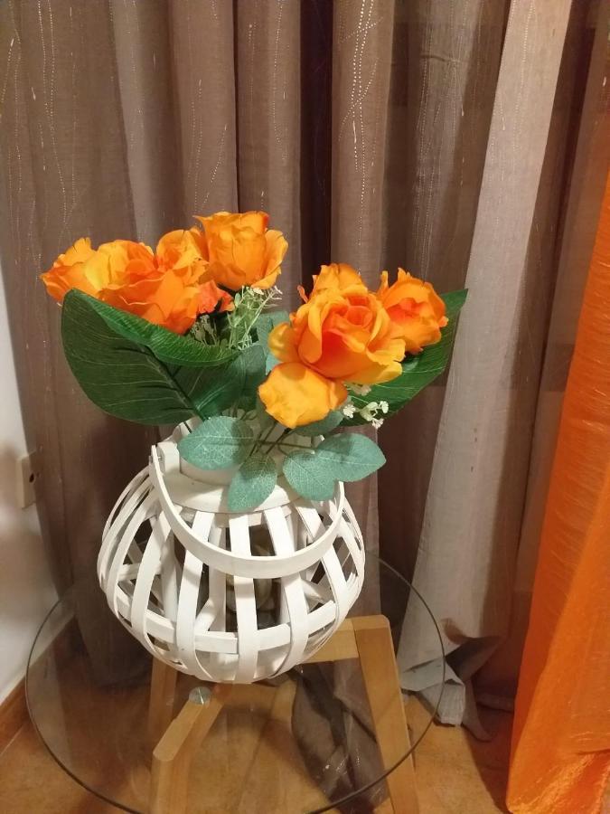 Pontecesures Pons Caesaris 빌라 외부 사진